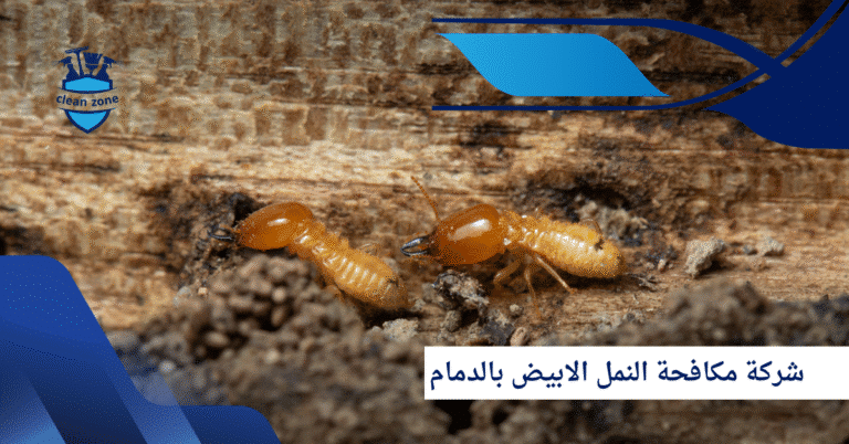 شركة مكافحة النمل الابيض بالدمام
